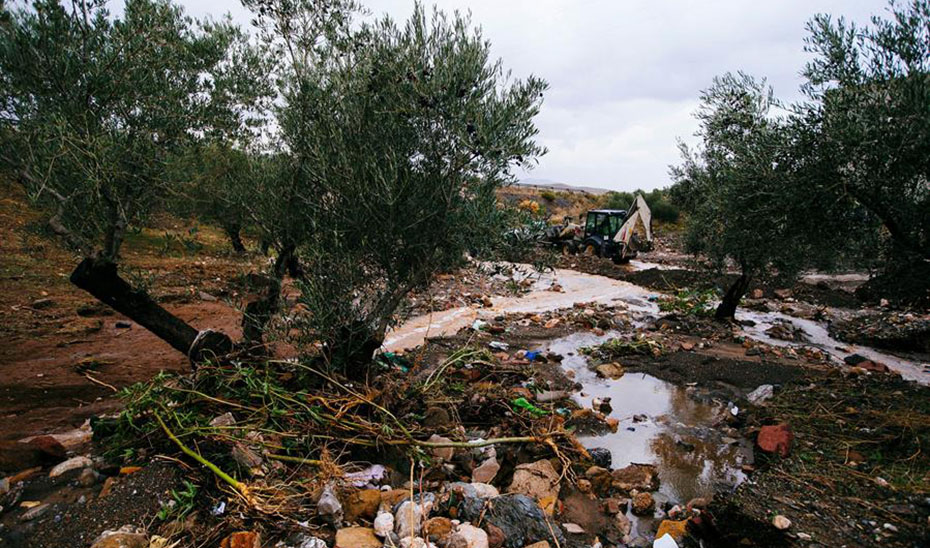 Una máquina adecua el terreno de un arroyo en Ardales (Agencia EFE).